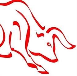 Toro s.c.