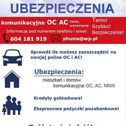 Usługi ubezpieczeniowo - finansowe, kredyty