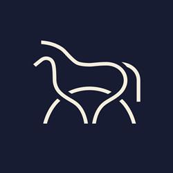 Firma Elfab Horse. Elwira Fabian