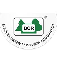 Szkółka Drzew i Krzewów Ozdobnych BÓR