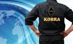 Kobra. Agencja Ochrony i Zabezpieczania Planów Filmowych i Reklam