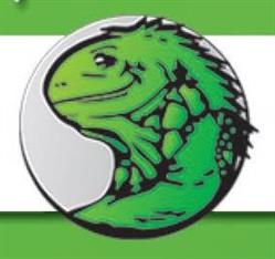 Zoo Iguana