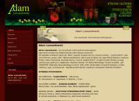 Soft Music. Adam Lewandowski