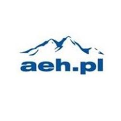 Andersen Euro Handel. Sp. z o.o. Transport międzynarodowy