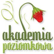 Poziomkowa Akademia Przedszkole Agnieszka Bolek