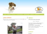 Animals. Towarzystwo Pomocy Zwierzętom