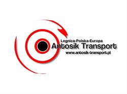 Antosik Andrzej. Usługi transportowe. Transport krajowy i międzynarodowy