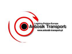 Antosik Andrzej. Usługi transportowe. Transport krajowy i międzynarodowy