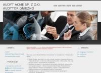 Audyt Acme Sp. z o.o.