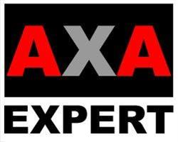 Axa Expert. Agencja detektywistyczna. Ochrona osób i mienia