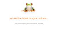 Strona internetowa z Azymut Maciej Pytlowany
