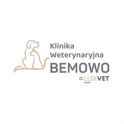 Klinika Weterynaryjna Bemowo. Paweł Kowalczyk