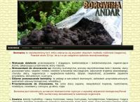 Andar. Pw. Borowina, Zabiegi