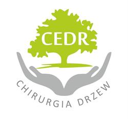 Kaczmarek Dariusz. Pielęgnacja, wycinka drzew, tereny zielone
