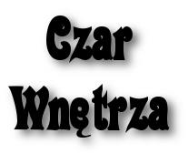 Czar Wnętrza Artur Tomczak