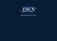 Des System Sp. z o.o. Agencja Ochrony