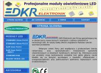 Dkr-Elektronik. Paweł Dziwiński