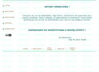 Domex Przedsiębiorstwo Inżynieryjno Usługowo Konsultingowe mgr inż. Jerzy Szyba