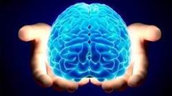 Sensorium Centrum Diagnostyki I Neuroterapii