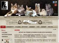 Strona internetowa z EKKR. Elitarny Klub Kota Rasowego