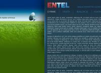 Entel Zakład Energetyki Łączności Władysław Szajek