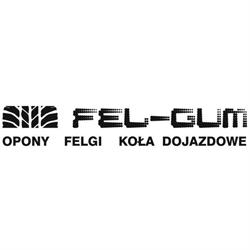 FEL-GUM Błażej Telicki
