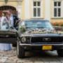 fotograf wesele Rybnik