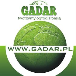 Gadar. Gałuszka A.