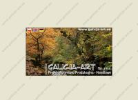 PPH Galicja Art Sp. z o.o.