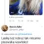 Dodane przez klienta firmy 5.07.2018 - Kultura ponad wszystko.