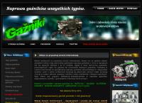 Auto-Serwis Naprawa Gaźników