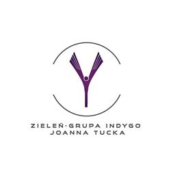 Grupa Indygo
