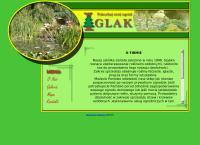 Pawlex-Iglak. Zbigniew Mostowski