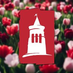 Strzelecki Ośrodek Kultury
