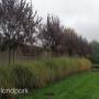 realizacja1