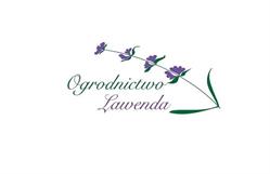 Ogrodnictwo Lawenda. Świeże zioła i dekoracje ziołowe dla gastronomii