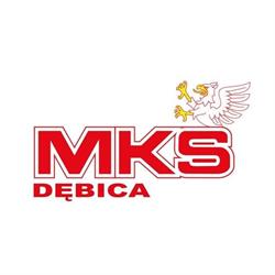 Miejska Komunikacja Samochodowa Sp. Z O.o.