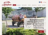 Strona internetowa z Stadnina Koni Fiord - obozy jeździeckie, agroturystyka, przyjęcia okolicznościowe