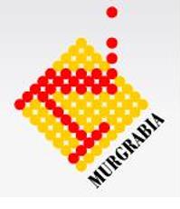 Murgrabia PHU Wojciech Murgrabia