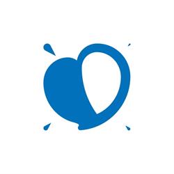 Polska Akcja Humanitarna. Fundacja