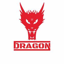 Dragon Sports Sp. z o.o.