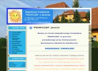 Strona internetowa z Promyczek. Przedszkole Niepubliczne