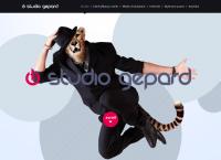Studio Gepard. Marek Błachowicz