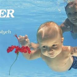 Swimmer Szkoła Pływania Dla Niemowląt i Dzieci