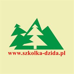 Dzida Eugeniusz. Szkółka drzew i krzewów ozdobnych