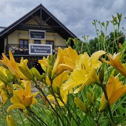 Tajemniczy Ogród Szczytna - Bed&Breakfast
