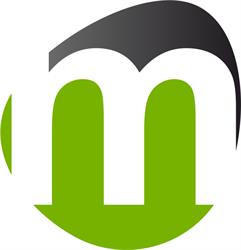 Meritum Group