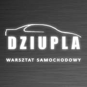 Dziupla. Warsztat Samochodowy. Mechanika, Blacharstwo