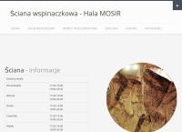 Ścianka Wspinaczkowa Przy Hali Widowiskowo - Sportowej