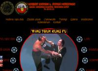 Strona internetowa z Szkoła Leung Ting Wing Tsun Kung Fu